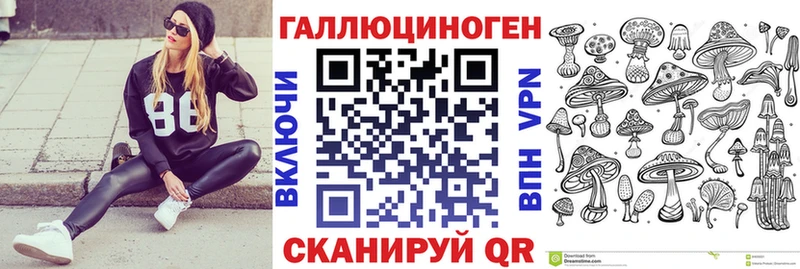 Галлюциногенные грибы Psilocybe  что такое   mega ТОР  Шацк 